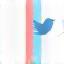 Twitter icon